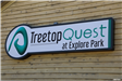 TreeTop Quest