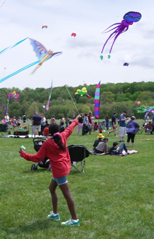 kitefestinsta24