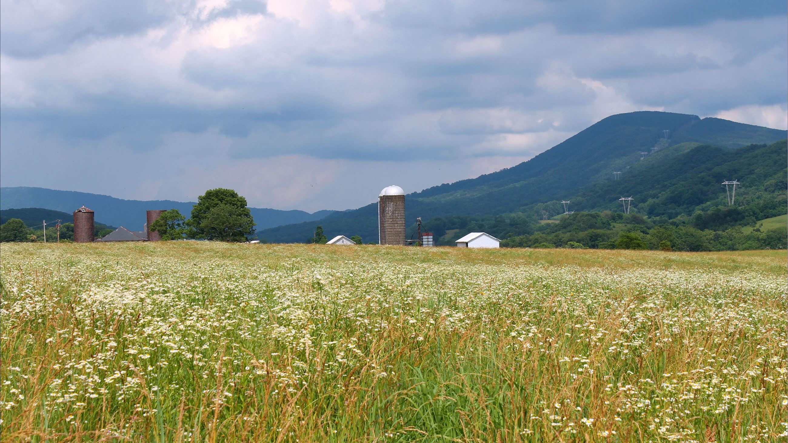 Catawba Valley Landscape