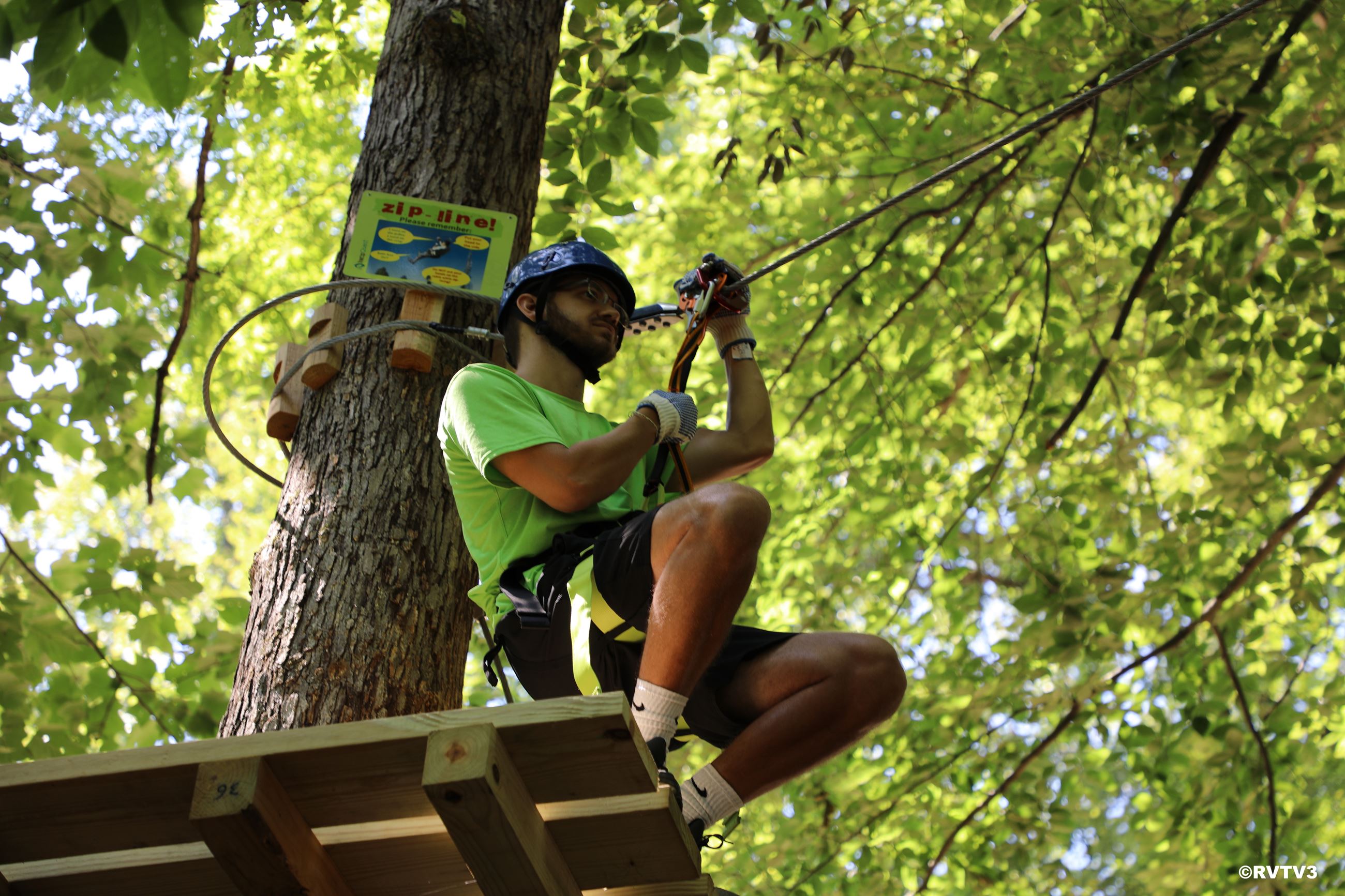 TreeTop Quest 