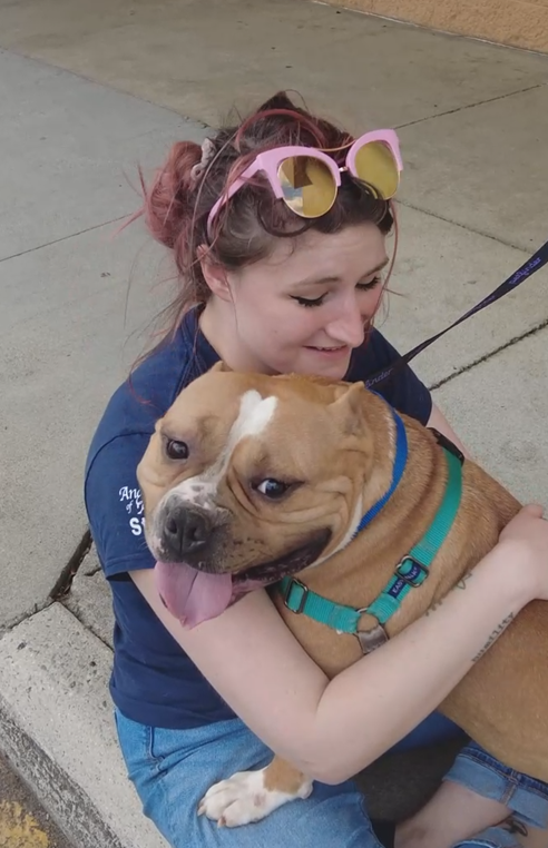 Adoptionprocess-insta