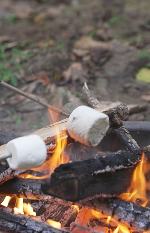 smores